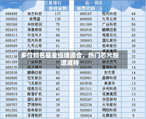 多位知名基金经理调仓，热门芯片股遭减持-第2张图片
