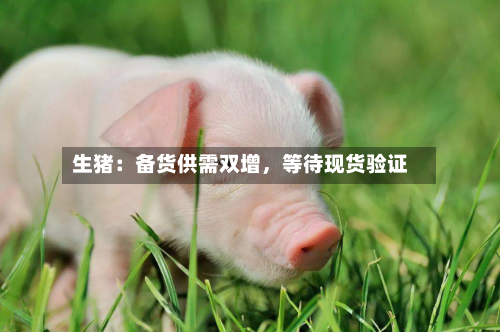 生猪：备货供需双增，等待现货验证-第2张图片
