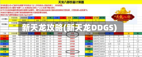 新天龙攻略(新天龙DDGS)-第2张图片