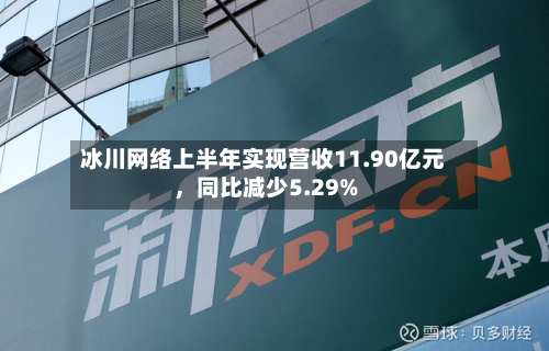 冰川网络上半年实现营收11.90亿元，同比减少5.29%-第3张图片