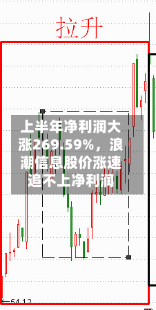 上半年净利润大涨269.59%，浪潮信息股价涨速追不上净利润-第2张图片