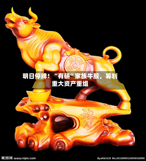 明日停牌！“有研	”家族牛股，筹划重大资产重组-第2张图片