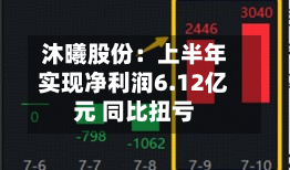 沐曦股份:上半年实现净利润6.12亿元 同比扭亏