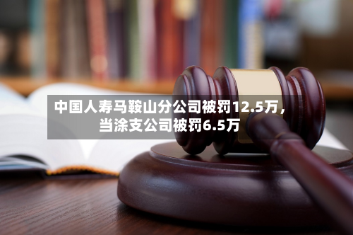 中国人寿马鞍山分公司被罚12.5万,当涂支公司被罚6.5万-第2张图片