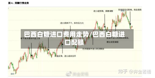 巴西白糖进口费用走势/巴西白糖进口配额
