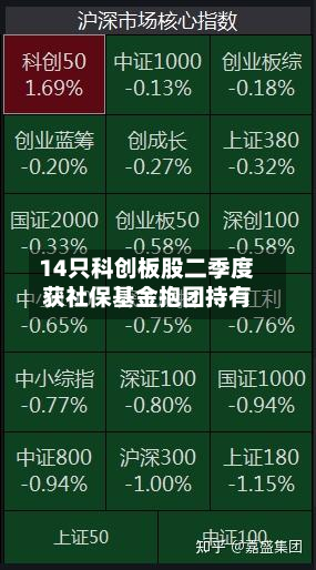 14只科创板股二季度获社保基金抱团持有-第3张图片