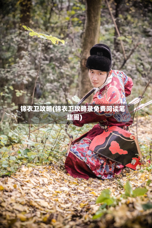 锦衣卫攻略(锦衣卫攻略录免费阅读笔趣阁)-第2张图片