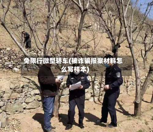 免限行微型轿车(被诈骗报案材料怎么写样本)-第2张图片