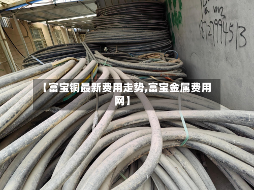 【富宝铜最新费用走势,富宝金属费用网】-第3张图片