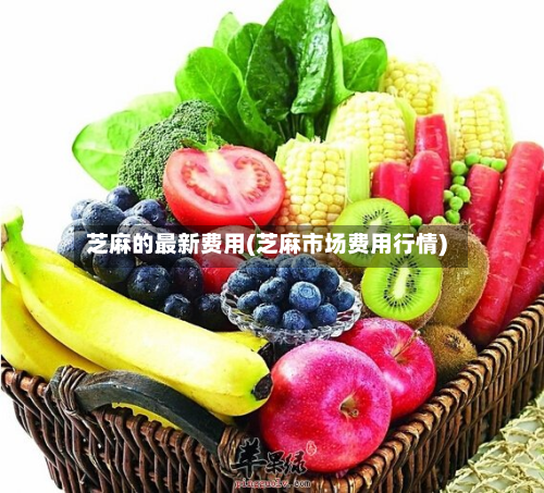 芝麻的最新费用(芝麻市场费用行情)-第3张图片