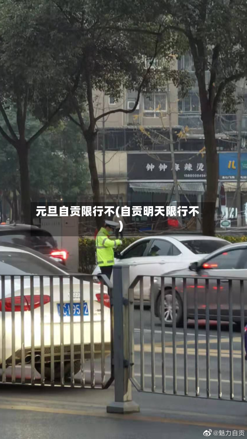 元旦自贡限行不(自贡明天限行不)