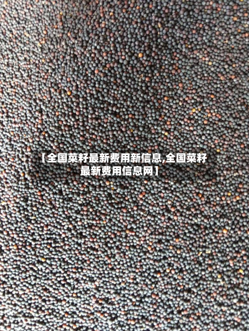 【全国菜籽最新费用新信息,全国菜籽最新费用信息网】-第2张图片