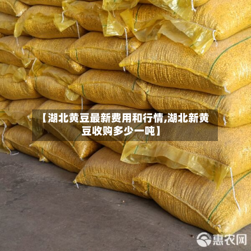 【湖北黄豆最新费用和行情,湖北新黄豆收购多少一吨】