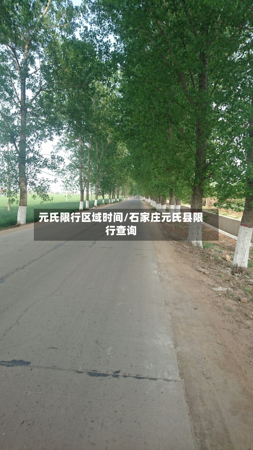 元氏限行区域时间/石家庄元氏县限行查询-第3张图片