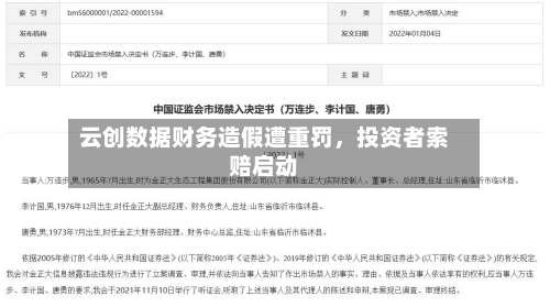云创数据财务造假遭重罚，投资者索赔启动-第2张图片