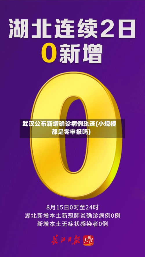 武汉公布新增确诊病例轨迹(小规模都是零申报吗)