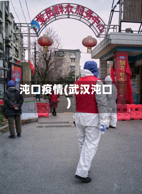 沌口疫情(武汉沌口)-第2张图片