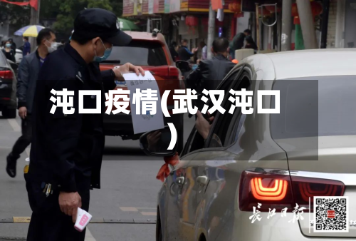 沌口疫情(武汉沌口)