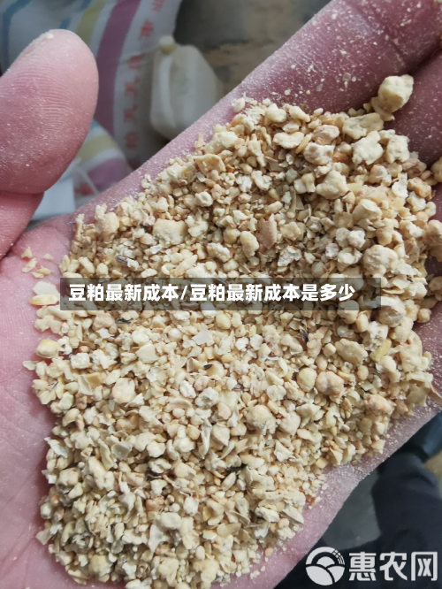 豆粕最新成本/豆粕最新成本是多少-第2张图片