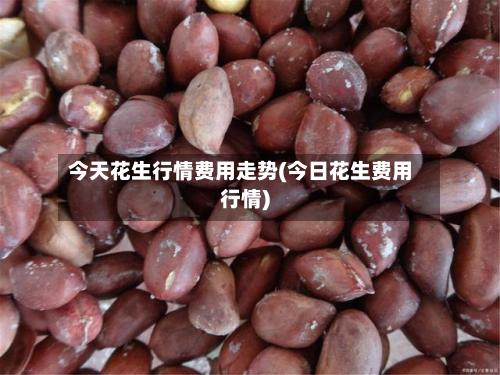 今天花生行情费用走势(今日花生费用行情)-第2张图片